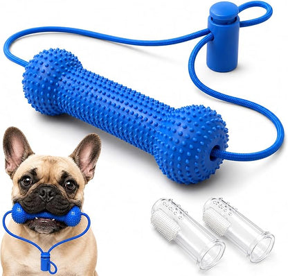 BrushBuddy Dog Dental Cleaning Kit – Toothbrush Set with Mouth-Positioning Tool for Home Pet Care