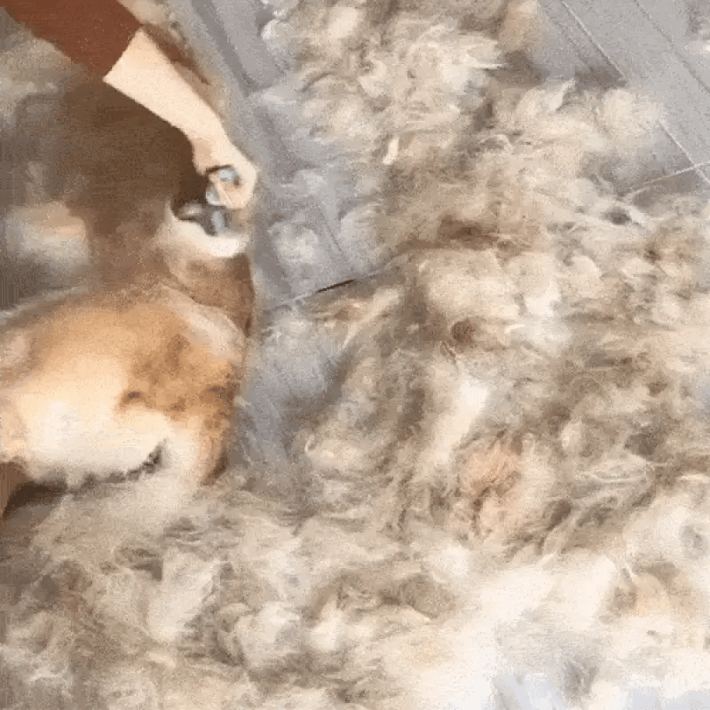 Pet Grooming Comb – Gentle Detangling & Daily Coat Care