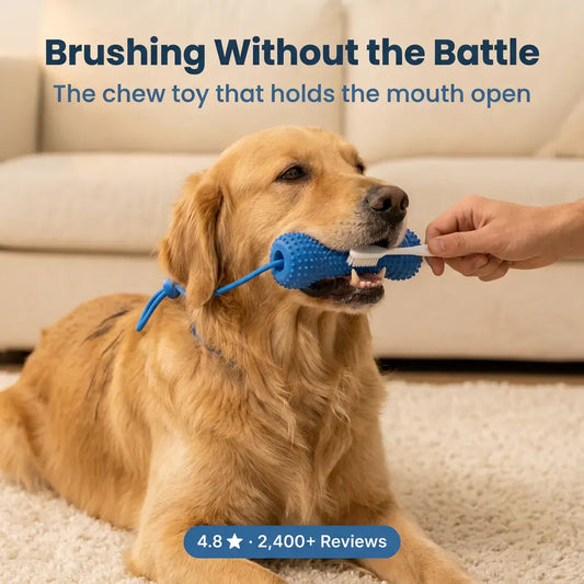 BrushBuddy Dog Dental Cleaning Kit – Toothbrush Set with Mouth-Positioning Tool for Home Pet Care