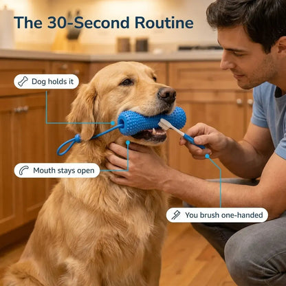 BrushBuddy Dog Dental Cleaning Kit – Toothbrush Set with Mouth-Positioning Tool for Home Pet Care