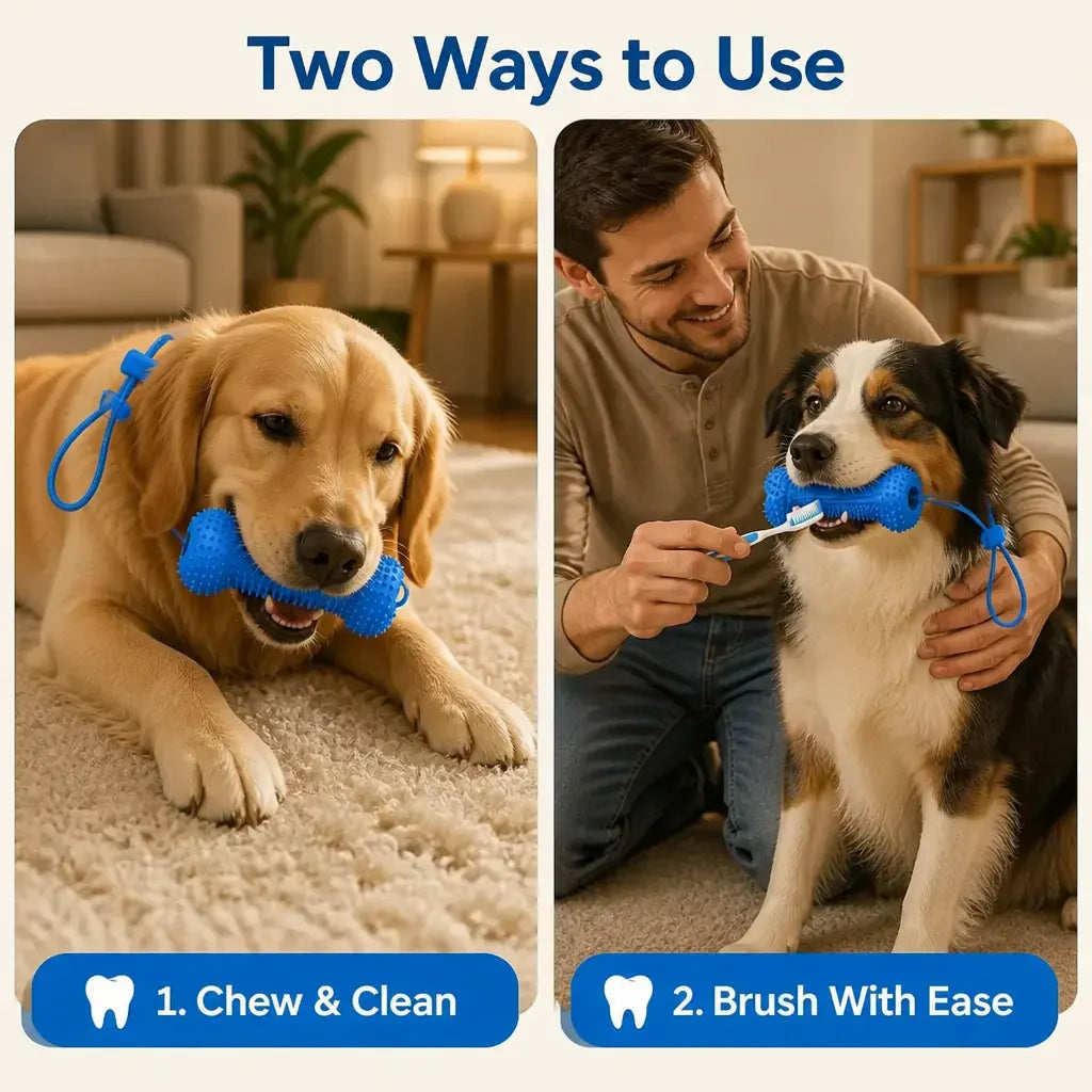 BrushBuddy Dog Dental Cleaning Kit – Toothbrush Set with Mouth-Positioning Tool for Home Pet Care