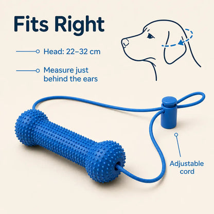 BrushBuddy Dog Dental Cleaning Kit – Toothbrush Set with Mouth-Positioning Tool for Home Pet Care