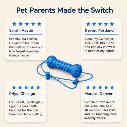 BrushBuddy Dog Dental Cleaning Kit – Toothbrush Set with Mouth-Positioning Tool for Home Pet Care