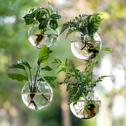 Hanging Glass Propagation Vase for Plant Cuttings