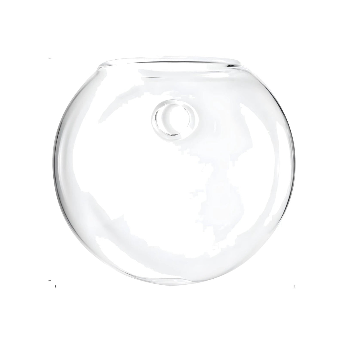 Hanging Glass Propagation Vase for Plant Cuttings
