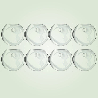 Hanging Glass Propagation Vase for Plant Cuttings